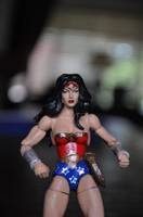 Wonder Woman (DC Universe) Custom Action Figure