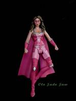 The Pink Crusader (Original) Custom Action Figure