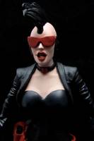 Magpie (V2) (DC Universe) Custom Action Figure
