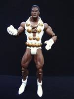 DC Tyroc Custom (DC Universe) Custom Action Figure