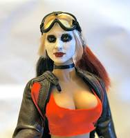 Harley Quinn (Batman) Custom Action Figure