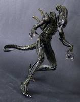 Aliens Warrior (Aliens) Custom Action Figure