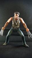 Logan/Wolverine (Marvel Select) Custom Action Figure