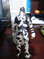 Arctic Snake Eyes (G.I. Joe Rise of Cobra) Custom Action Figure