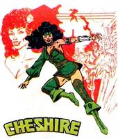 Cheshire (DC Universe) Custom Action Figure