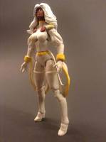 Storm (Marvel Universe) Custom Action Figure