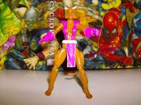 Feral (Marvel Universe) Custom Action Figure