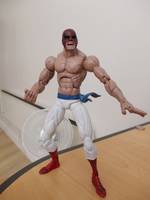 Kung-Fu Spiderman (Spider Island) (Marvel Legends) Custom Action Figure