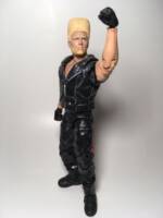 Paul Phoenix (Tekken) Custom Action Figure