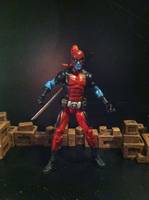 Champion of the Universe (Championpool) (Marvel Legends) Custom Action Figure