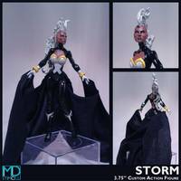 Storm (Marvel Now) (Marvel Universe) Custom Action Figure