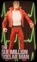 Steve Austin the Six Million Dollar Man (Six Million Dollar Man) Custom Action Figure