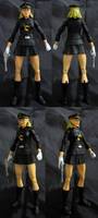 DC Lady Blackhawk (DC Universe) Custom Action Figure