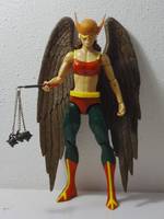 HAWKGIRL Earth-2 Shiera Sanders All-Star Squadron (Wrestling) Custom Action Figure