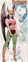 HAWKGIRL Earth-2 Shiera Sanders All-Star Squadron (Wrestling) Custom Action Figure