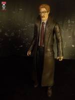 GCPD Lt/ Commissioner (N52) James Gordon (DC Universe) Custom Action Figure