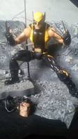 Wolverine (Marvel Legends) Custom Action Figure