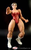 Aska TMNT (Teenage Mutant Ninja Turtles) Custom Action Figure