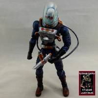 Mr. Freeze (DC Universe) Custom Action Figure
