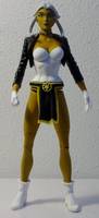 STEALTH from L.E.G.I.O.N.  2.0 (DC Direct) Custom Action Figure