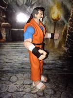 Go Hibiki (Street Fighter) Custom Action Figure