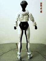 Phase (DC Universe) Custom Action Figure