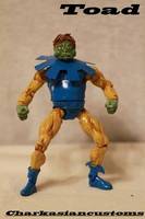 Toad (Marvel Legends) Custom Action Figure