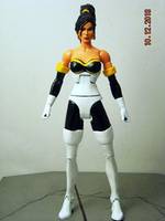 Mirage (DC Universe) Custom Action Figure