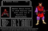 Master Ninja (Wizardry) Custom Miniature / Figurine
