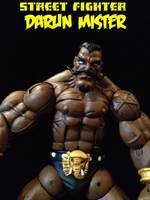 Street Fighter Darun Mister (Street Fighter) Custom Action Figure