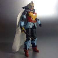 Flashpoint Wonder Woman (DC Infinite Heroes) Custom Action Figure