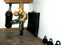 Street Fighter Dojo (Street Fighter) Custom Diorama / Playset