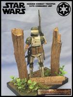 Imperial Combat Harden Trooper (Star Wars) Custom Action Figure