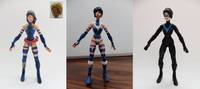 Lady Nightwing (Batman) Custom Action Figure