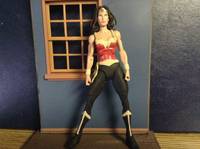 Wonder Woman Update (DC Universe) Custom Action Figure