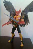 Sons of the Hawk , Hawkken (DC Universe) Custom Action Figure