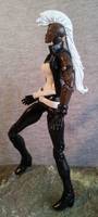 Storm (Ororo Munroe) (Marvel Legends) Custom Action Figure