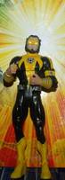 Sinestro Corps Canis Lupus Wot (Green Lantern) Custom Action Figure