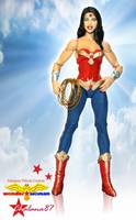 Adrianne Palicki Wonder Woman Pilot (Wonder Woman) Custom Action Figure