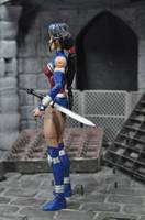 Wonder Woman(JLU WAR) (DC Universe) Custom Action Figure