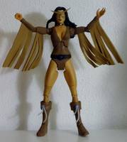OWL WOMAN Wenonah Littlebird Member Global Guardians: USA (DC Universe) Custom Action Figure