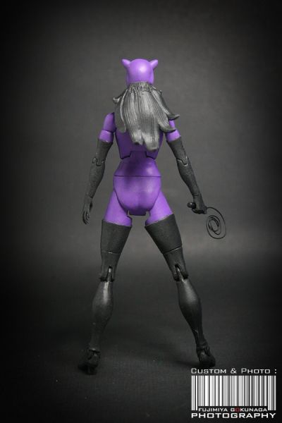 dcuc catwoman
