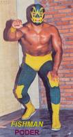 Fishman (Wrestling) Custom Action Figure