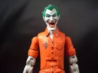 Arkham Asylum Inmate Joker (DC Universe) Custom Action Figure