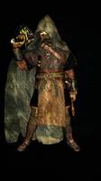 Champion of Dale, Damlon Goblin-Bane (Lord of the Rings) Custom Action Figure