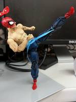 Way of the Spider Spider-Man (Marvel Legends) Custom Action Figure