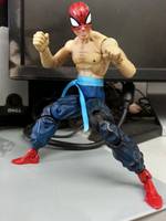 Way of the Spider Spider-Man (Marvel Legends) Custom Action Figure
