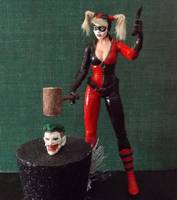 Harley Quinn (Batman) Custom Action Figure
