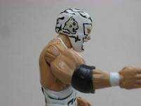 Dr. Wagner JR (Wrestling) Custom Action Figure