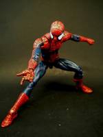 Amazing Spider-Man (Marvel Legends) Custom Action Figure